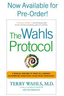The-Wahls-Protocol Paperback