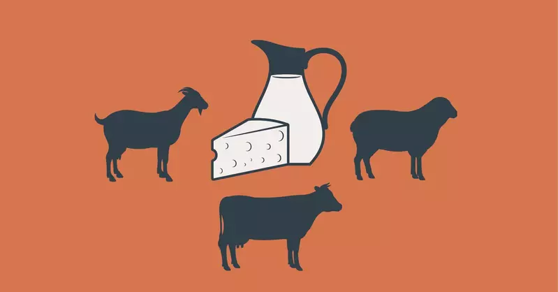 A2 milk from goats, sheep and other animals: Friend or foe?