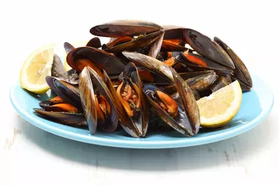 mussels