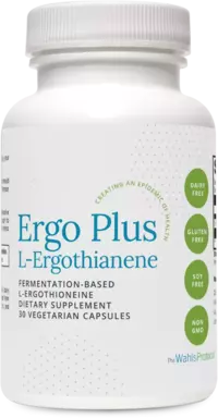 ergo-plus