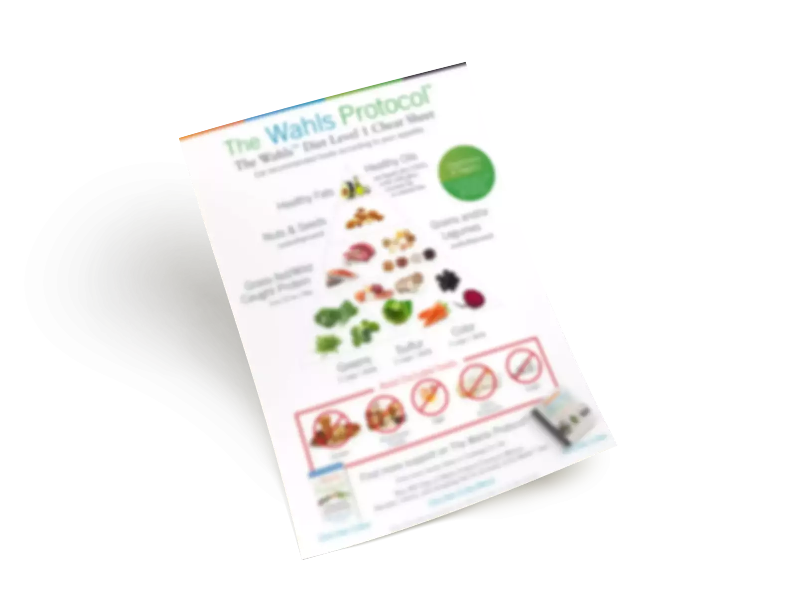 The Wahls Protocol® book papers