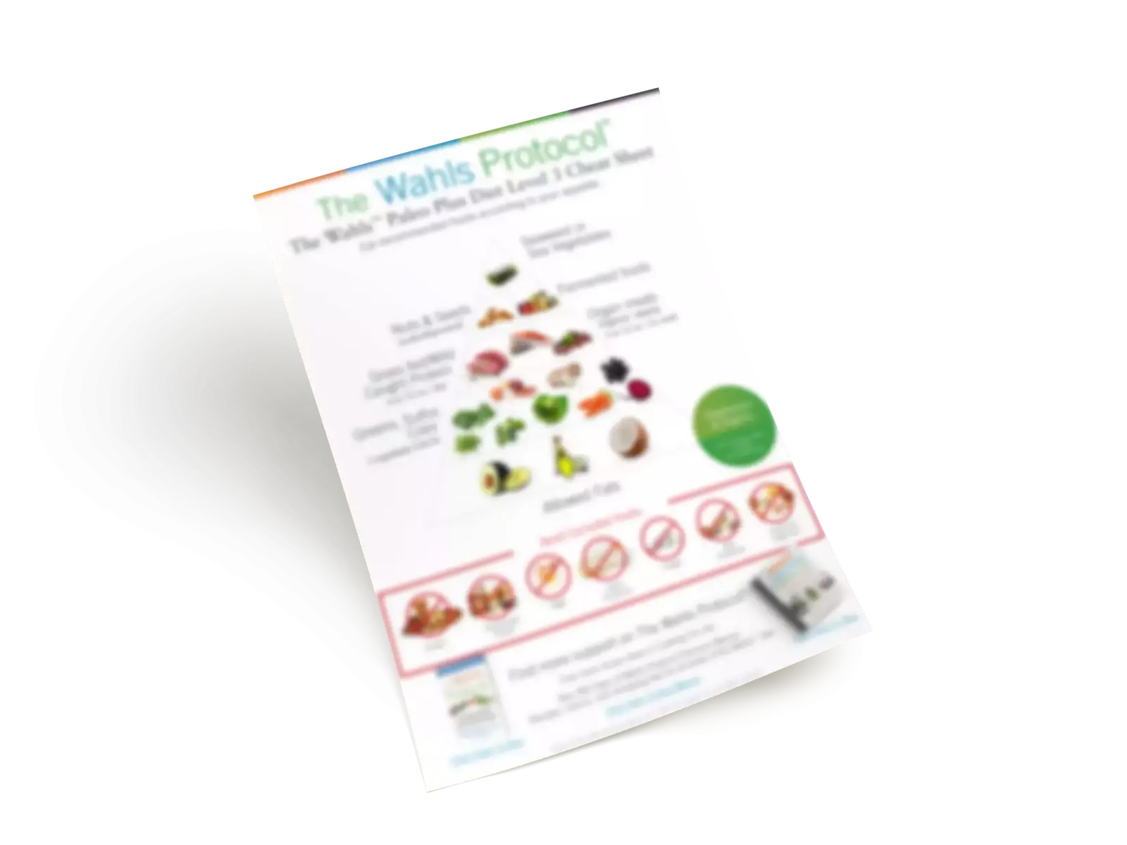 The Wahls Protocol® book papers