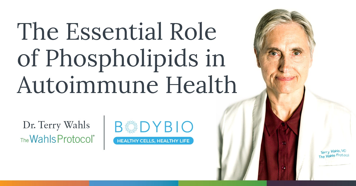 The Essential Role of Phospholipids in Autoimmune Health