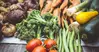 Wahls-Protocol-Study-Design-Blog