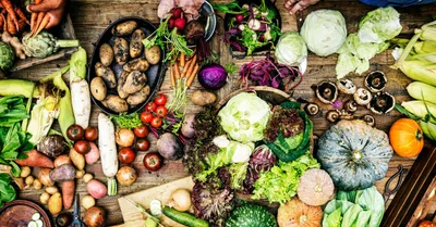 Wahls-Dietary Guidelines-JAN19