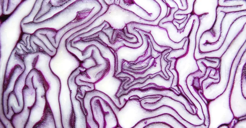 wahls-protocolMitochondria- The Tiny Powerhouses that Fuel Your Health and Vitality