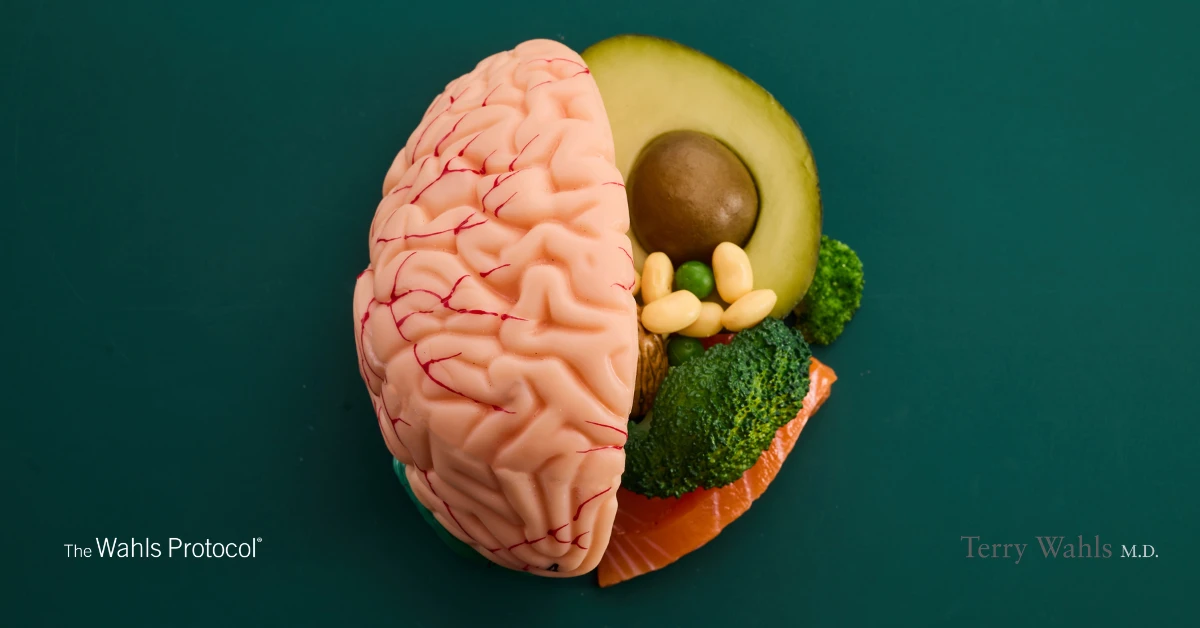Wahls-Protocol-Brain-Fog-Lifestyle-Factors-And-Supplements-or-Brain-Health