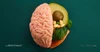 Wahls-Protocol-Brain-Fog-Lifestyle-Factors-And-Supplements-or-Brain-Health