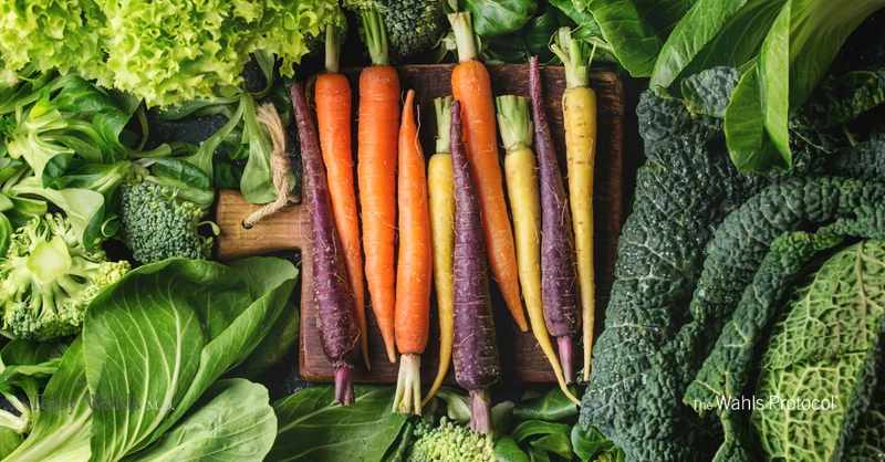 diet affected the gut microbiome