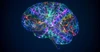 TerryWahls-Protocol-July13-2026-Bioactive-Compounds-and-Brain-Health