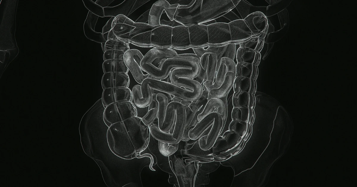 Wahls-Healing Leaky Gut Naturally-Sept26