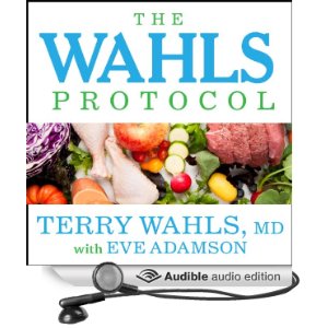 The-Wahls-Protocol Audio Version