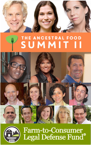 ancestral food summit banner image